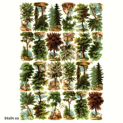 r.tuck 717 trees.jpg