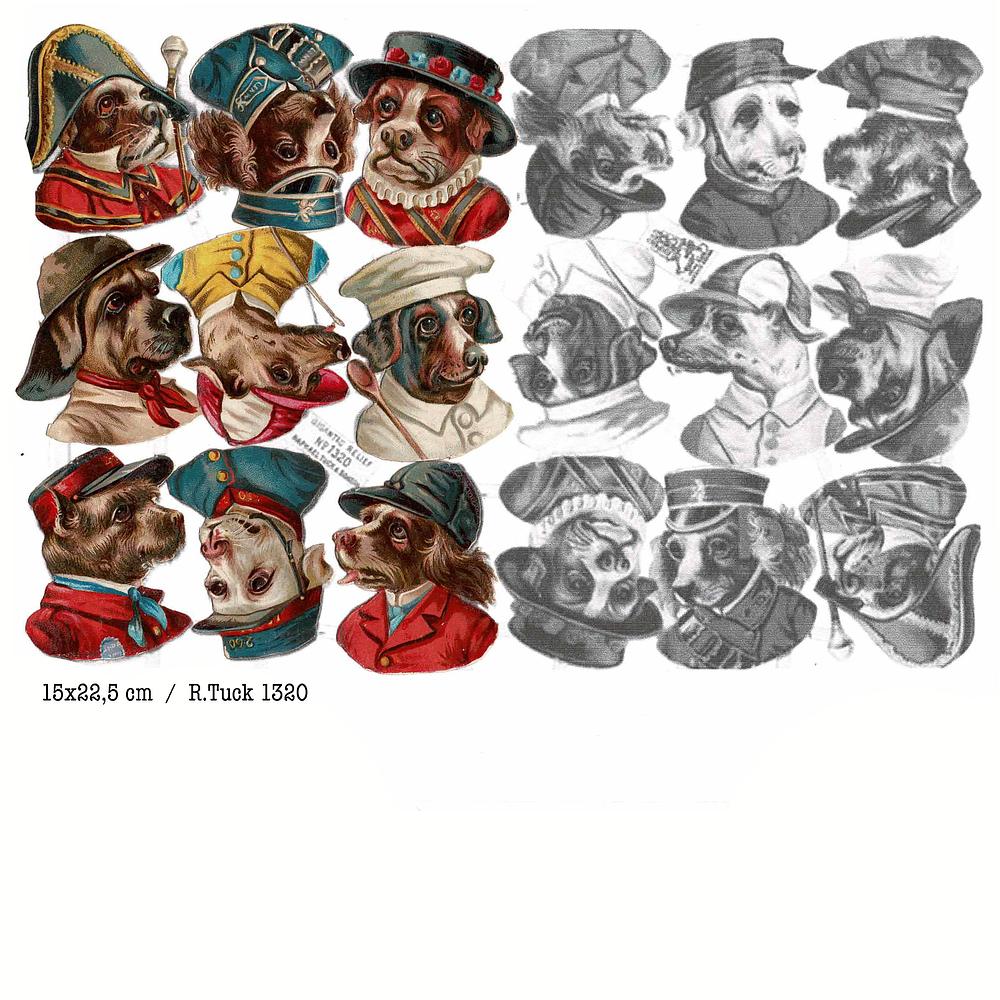 r.tuck 1320 dressed dog heads.jpg