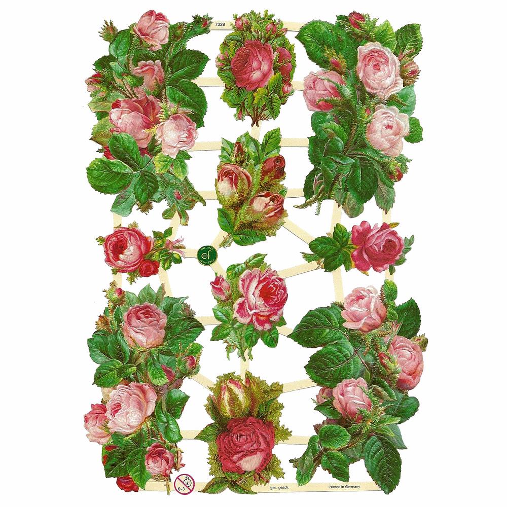 EF 7328 roses.jpg