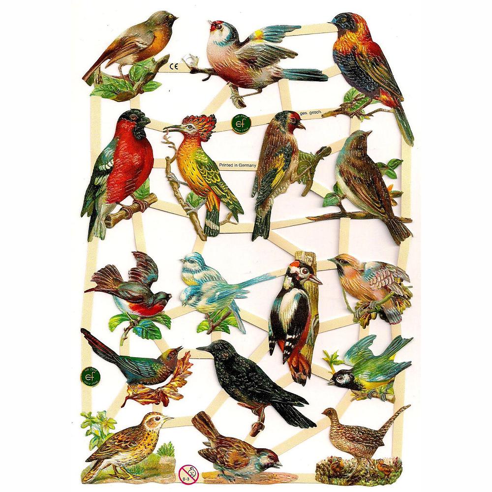 EF 7323 birds.jpg