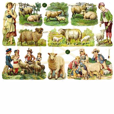 EF 7405 Sheeps and shepards rural.jpg