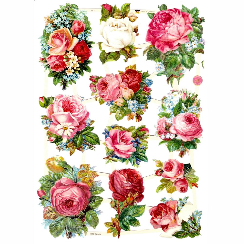 EF 7411 roses.jpg