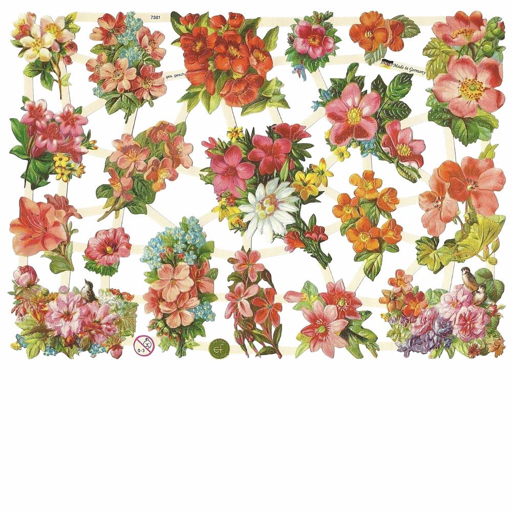 EF 7381 Springtime Colorful Flowers.jpg