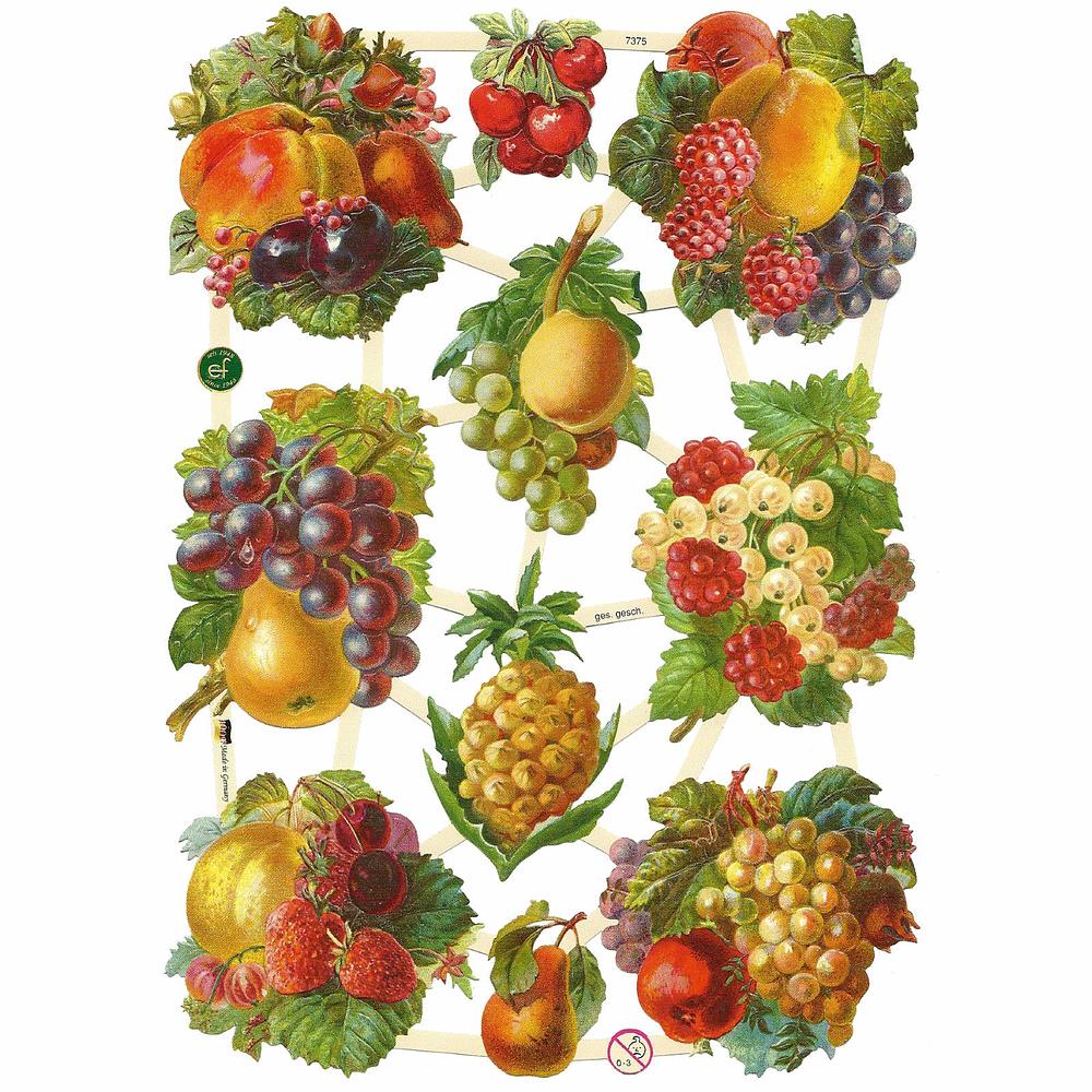 EF 7375 fruits.jpg