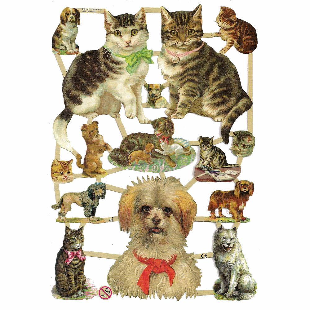 EF 7238 cats and dogs.jpg