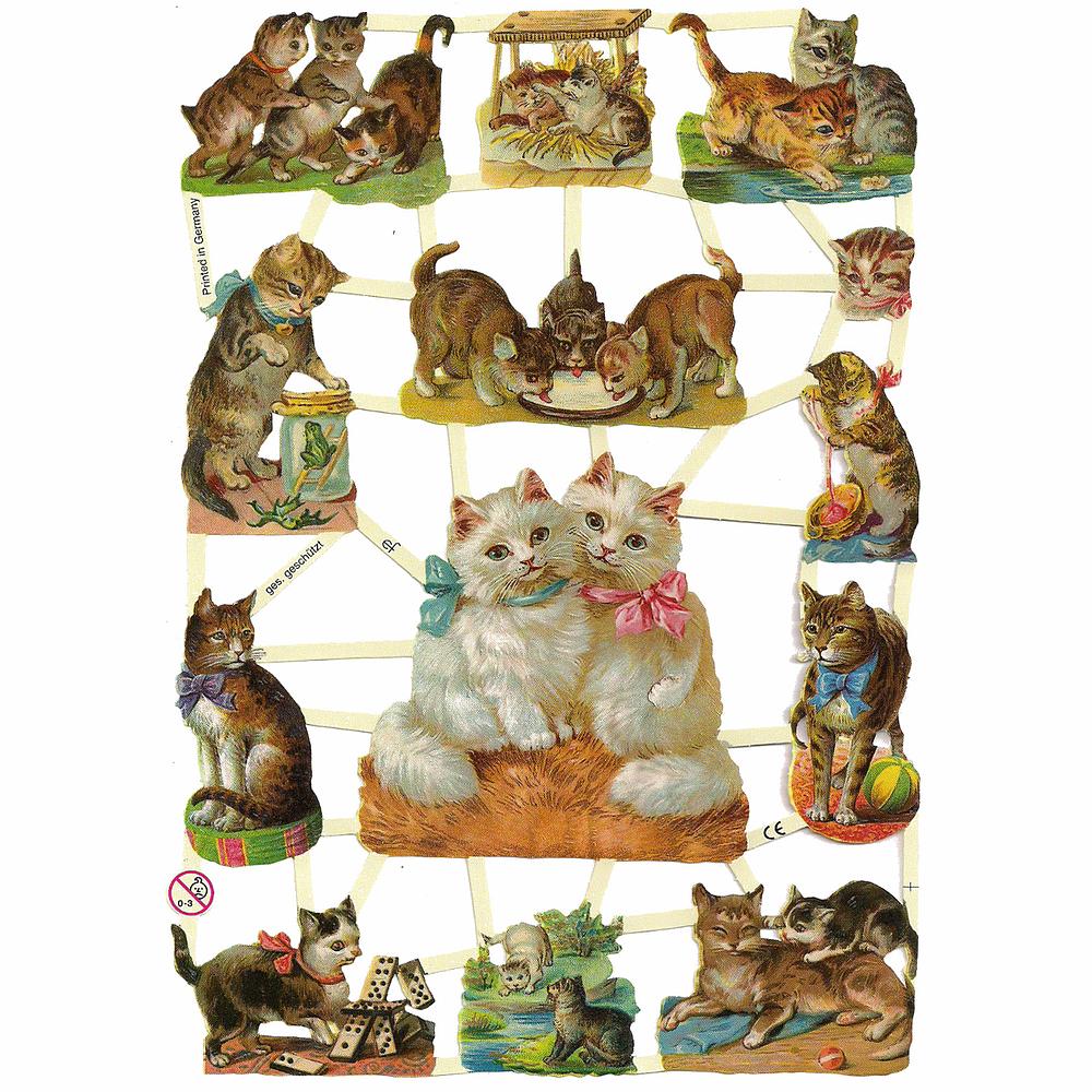 EF 7245 Cats & Kittens Playing.jpg