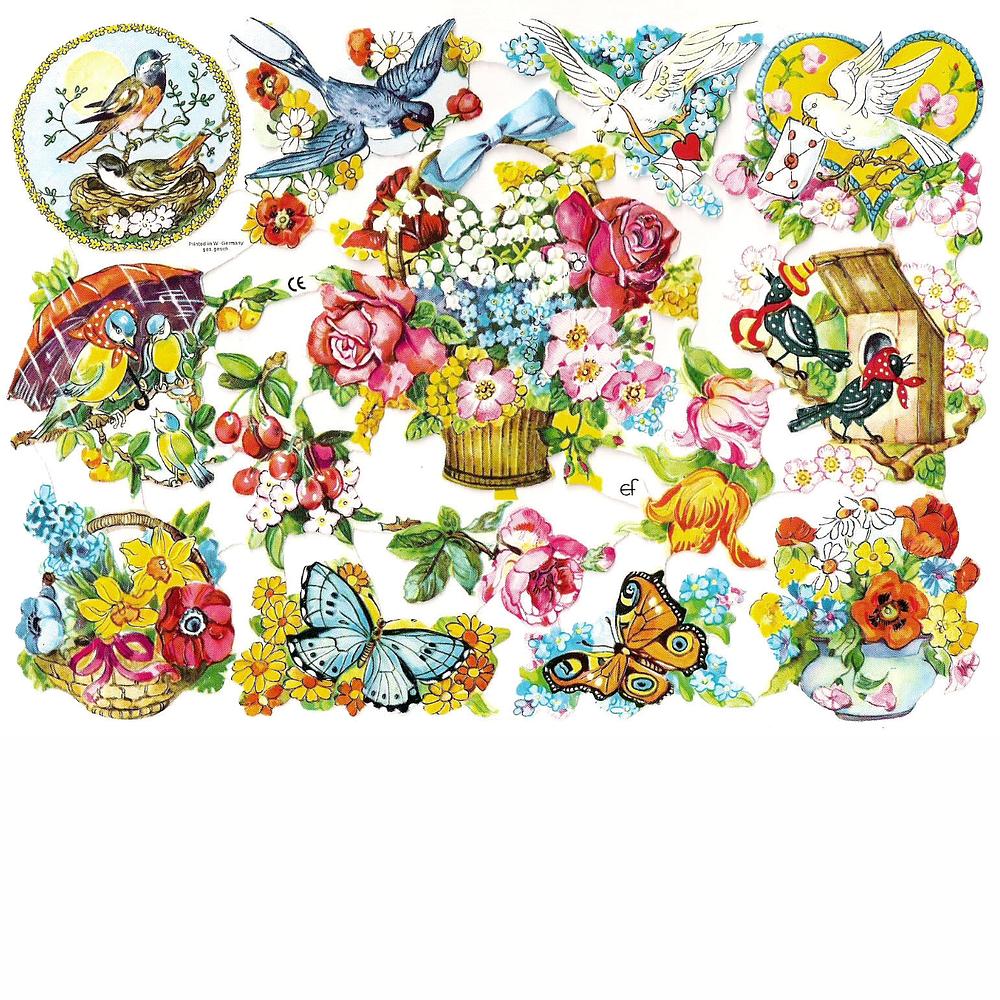 EF 7110 birds flowers butterflies.jpg