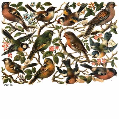 R.Tuck 279 birds and trenches.jpg