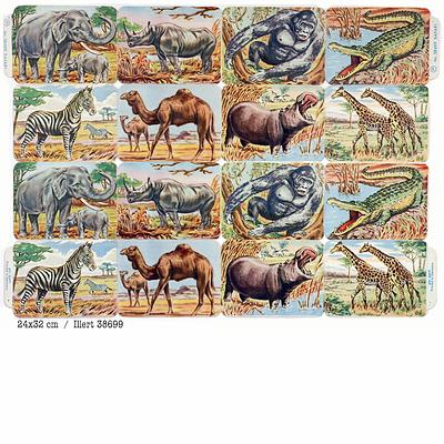 Illert 38699 Safari.jpg