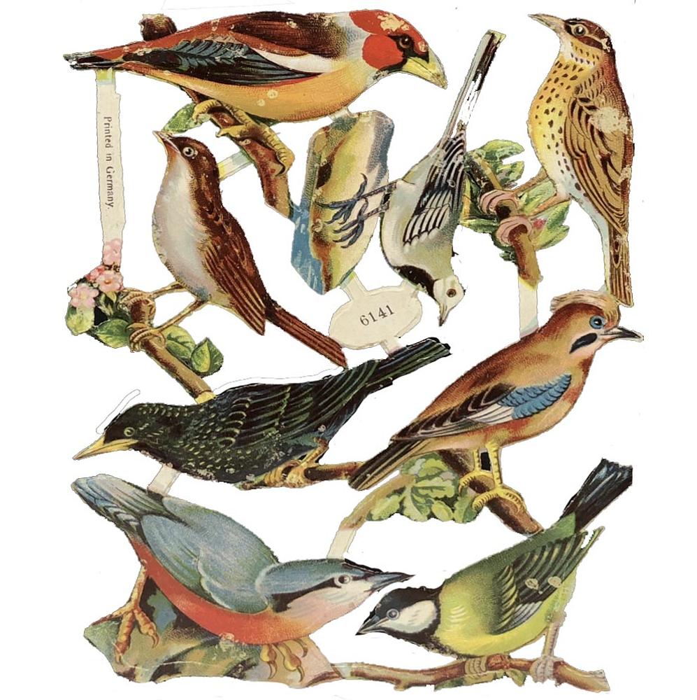 2014 Animals Scraps Glued on Paper Double Sided Birds + L18  eBay.jpg