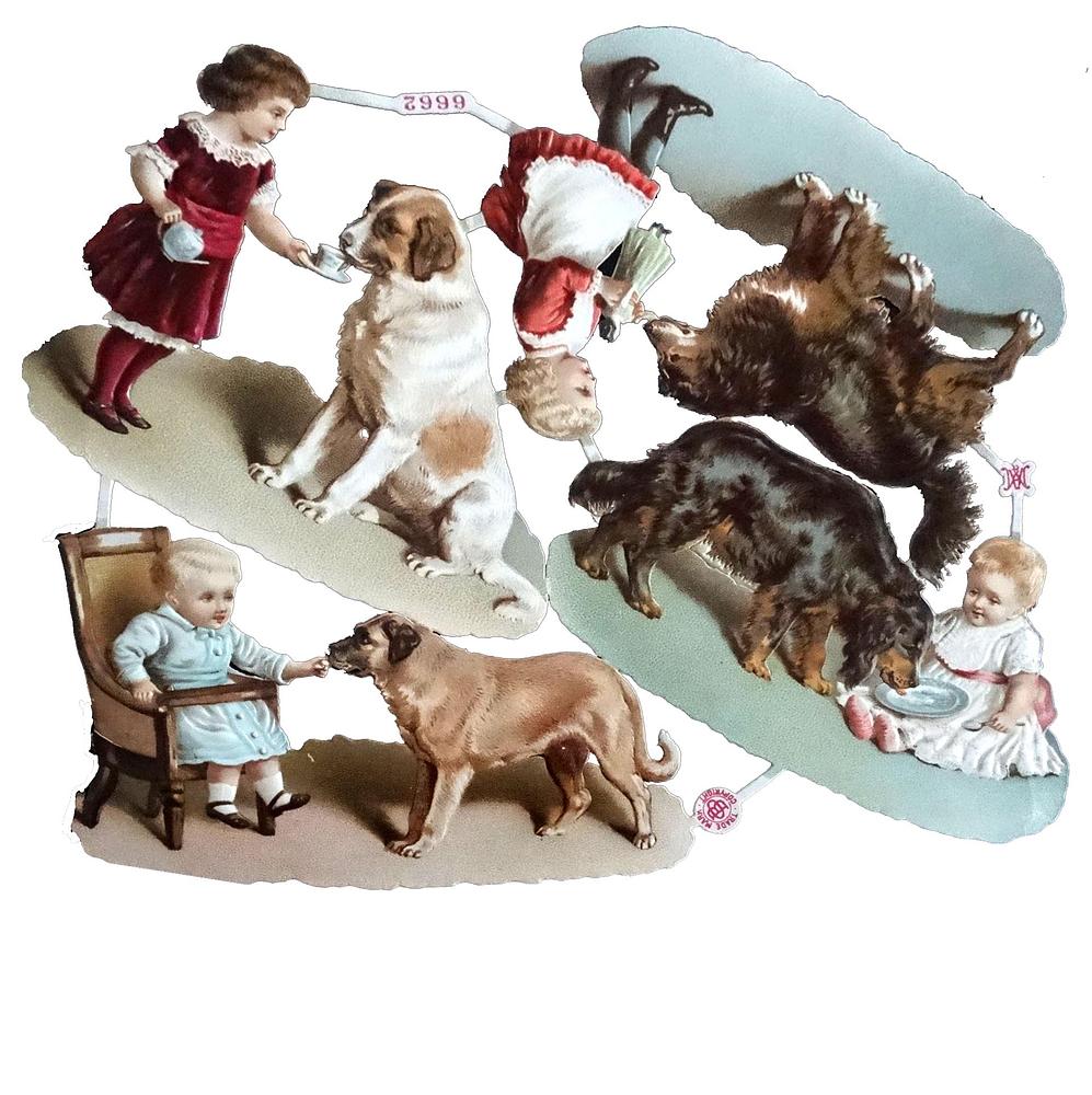 A&M 6662 toddlers and dogs 2.jpg