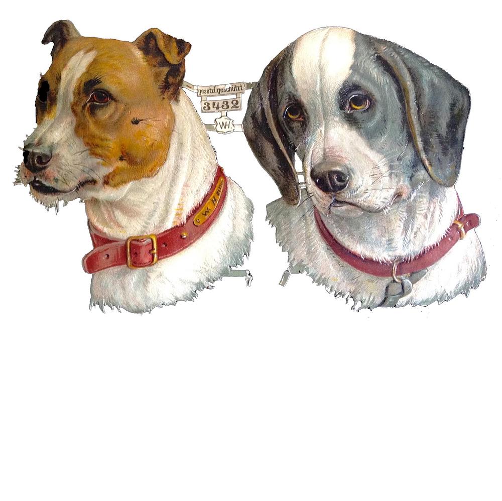 WH 3432 dog heads 2.jpg