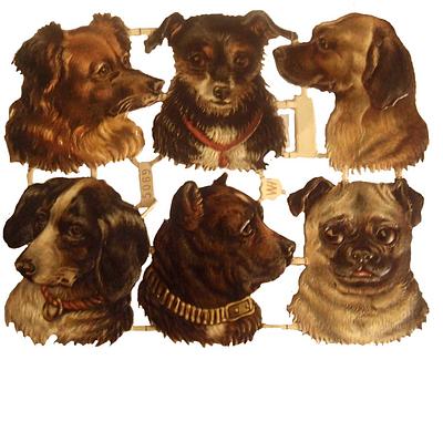 WH 5069 dog heads 2.jpg