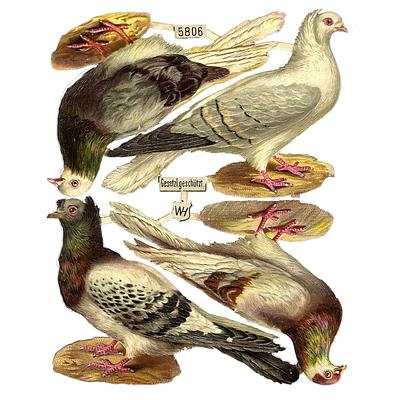 WH 5806 doves.jpg