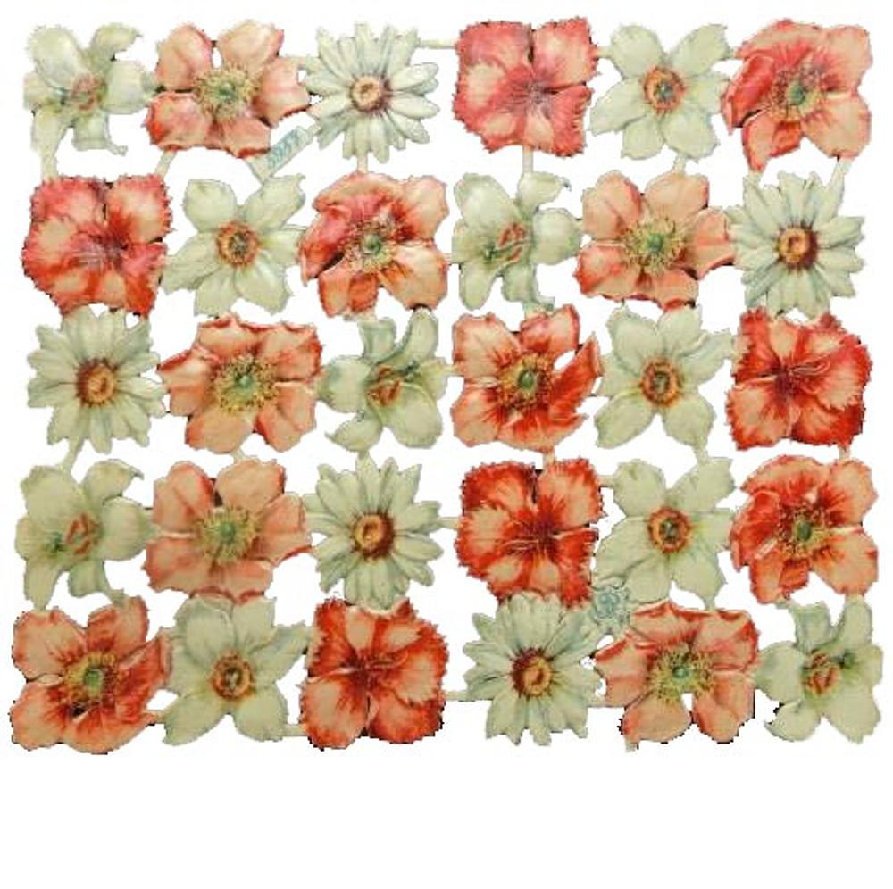 A.Radicke 5957 flowers, 2.jpg