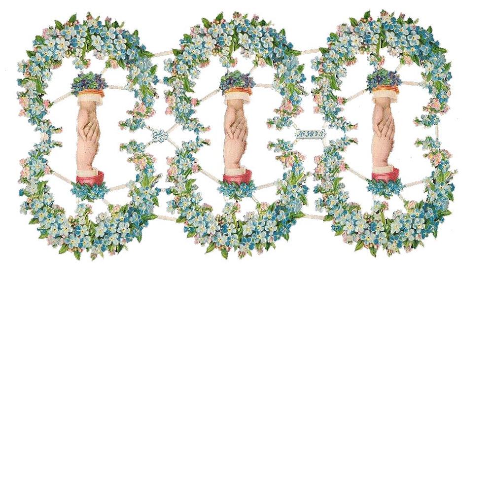 A.Radicke 5973 hands and flowers 2.jpg