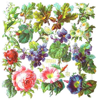 WH 8664 flowers 2.jpg