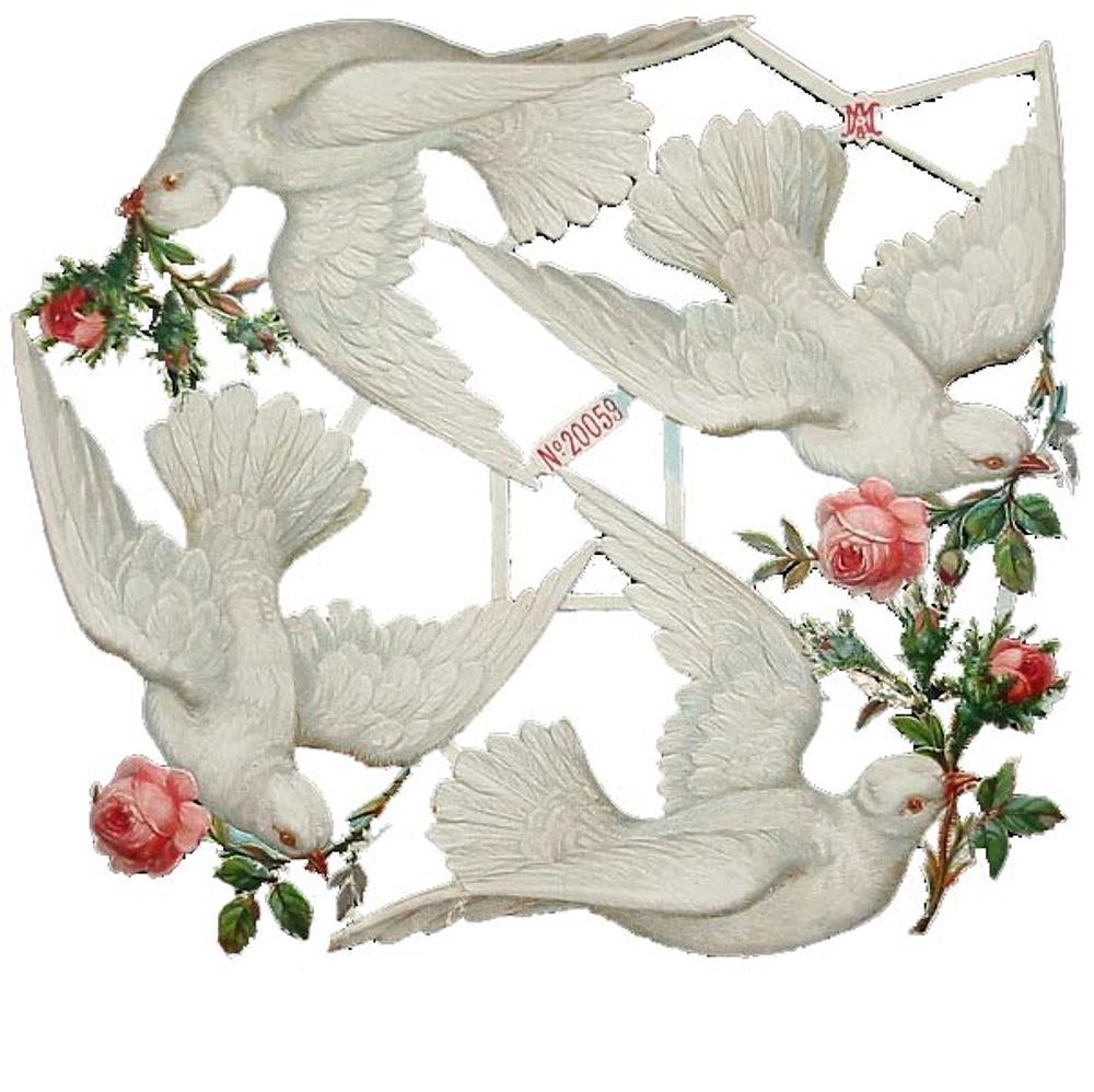 A&M 20059 doves 2.jpg