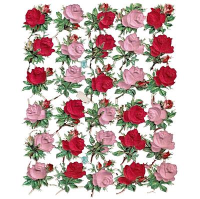 A.Radicke roses with silk 2.jpg