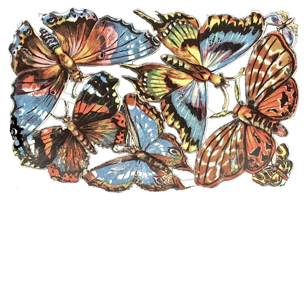 NL 3060 butterflies.jpg