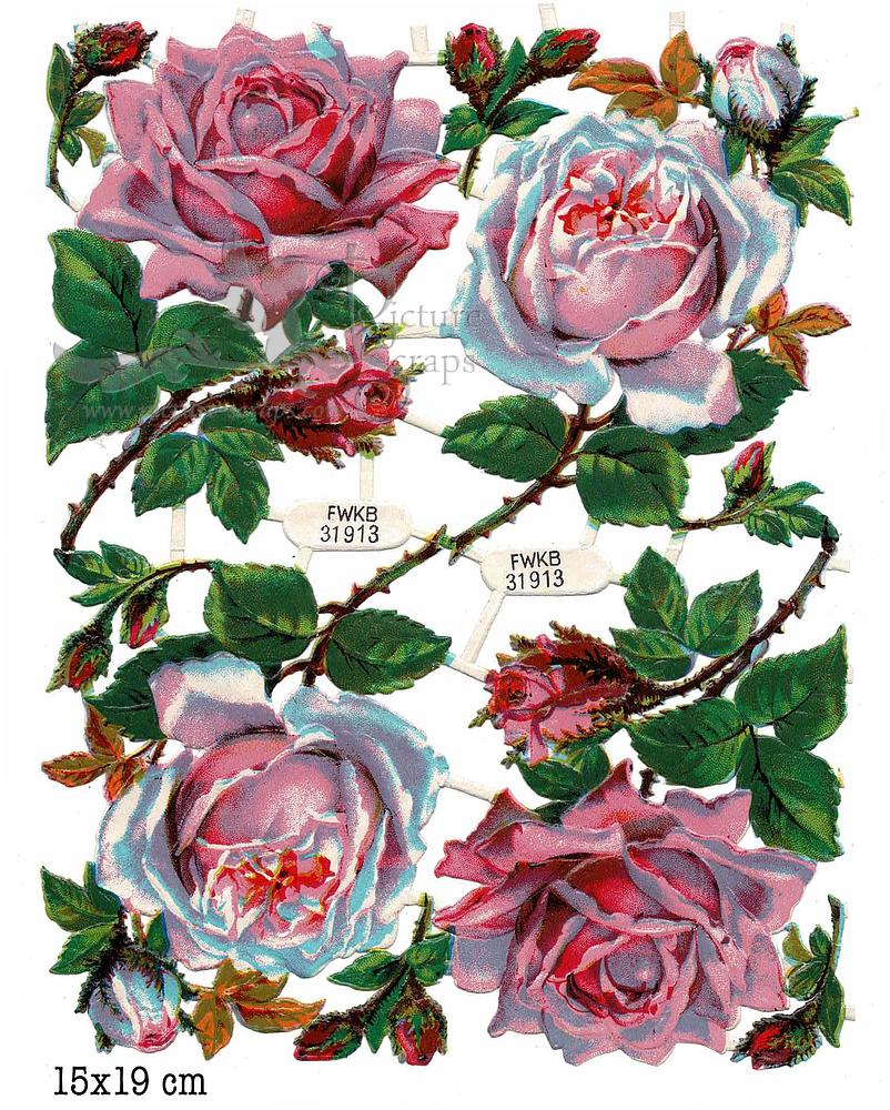 FWKB 31913 pink roses.jpg