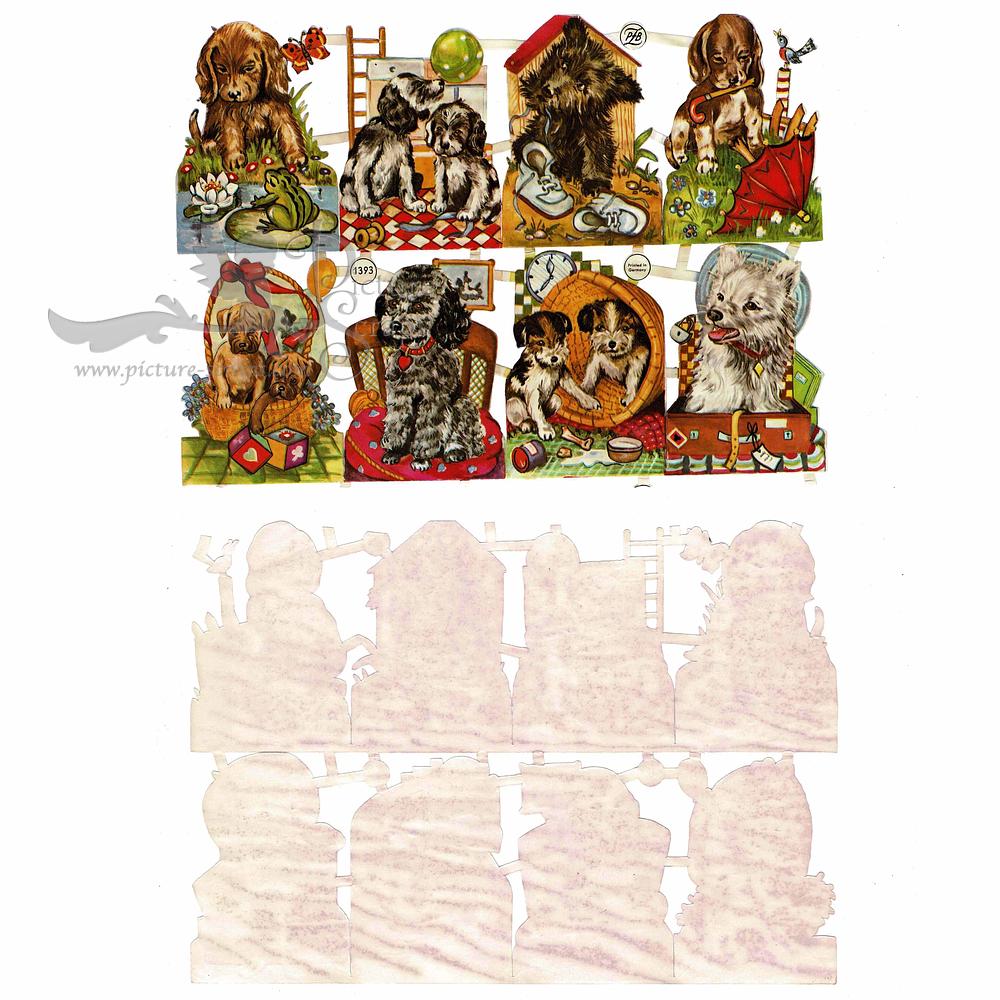PZB 1393 dogs.jpg