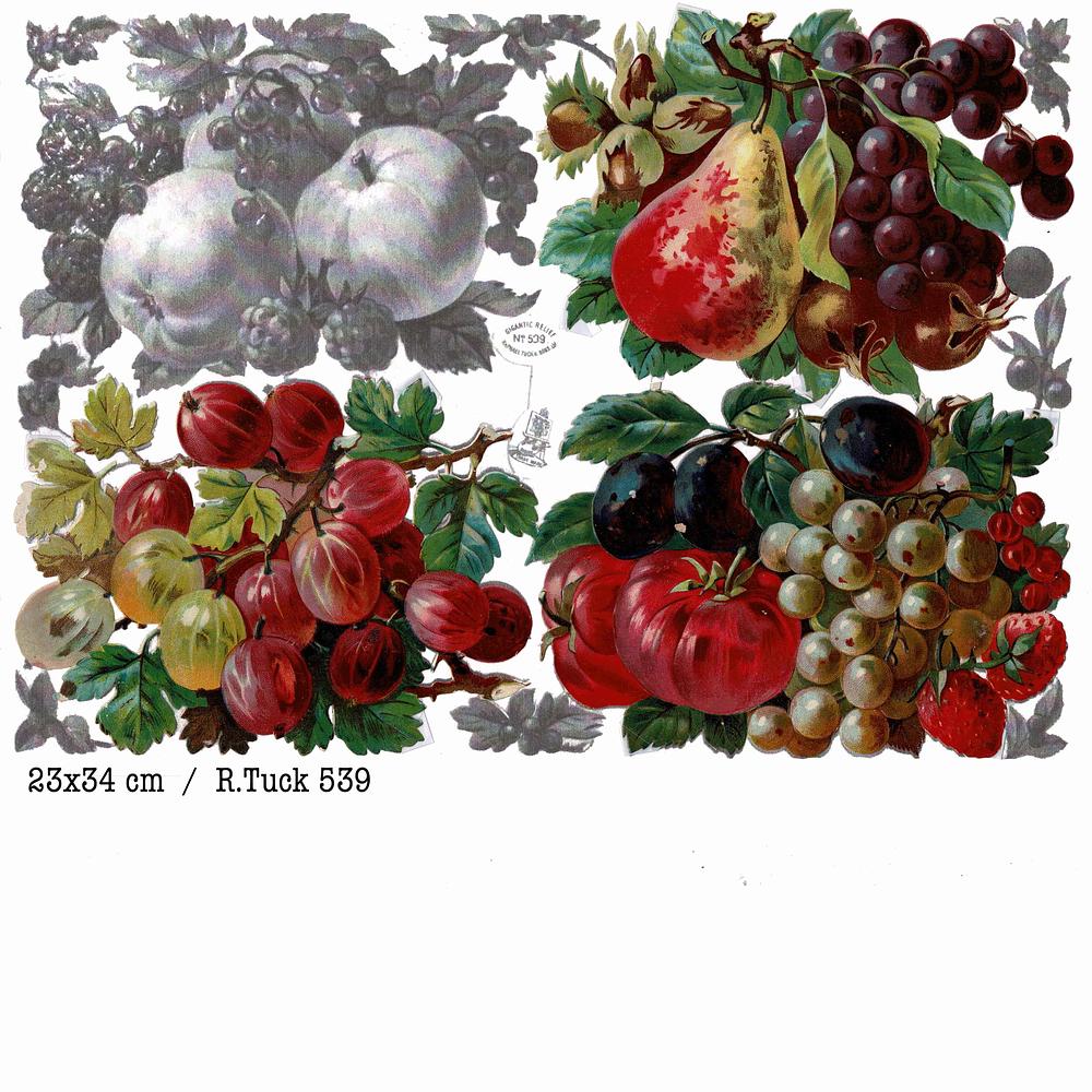 r.tuck fruits 1.jpg