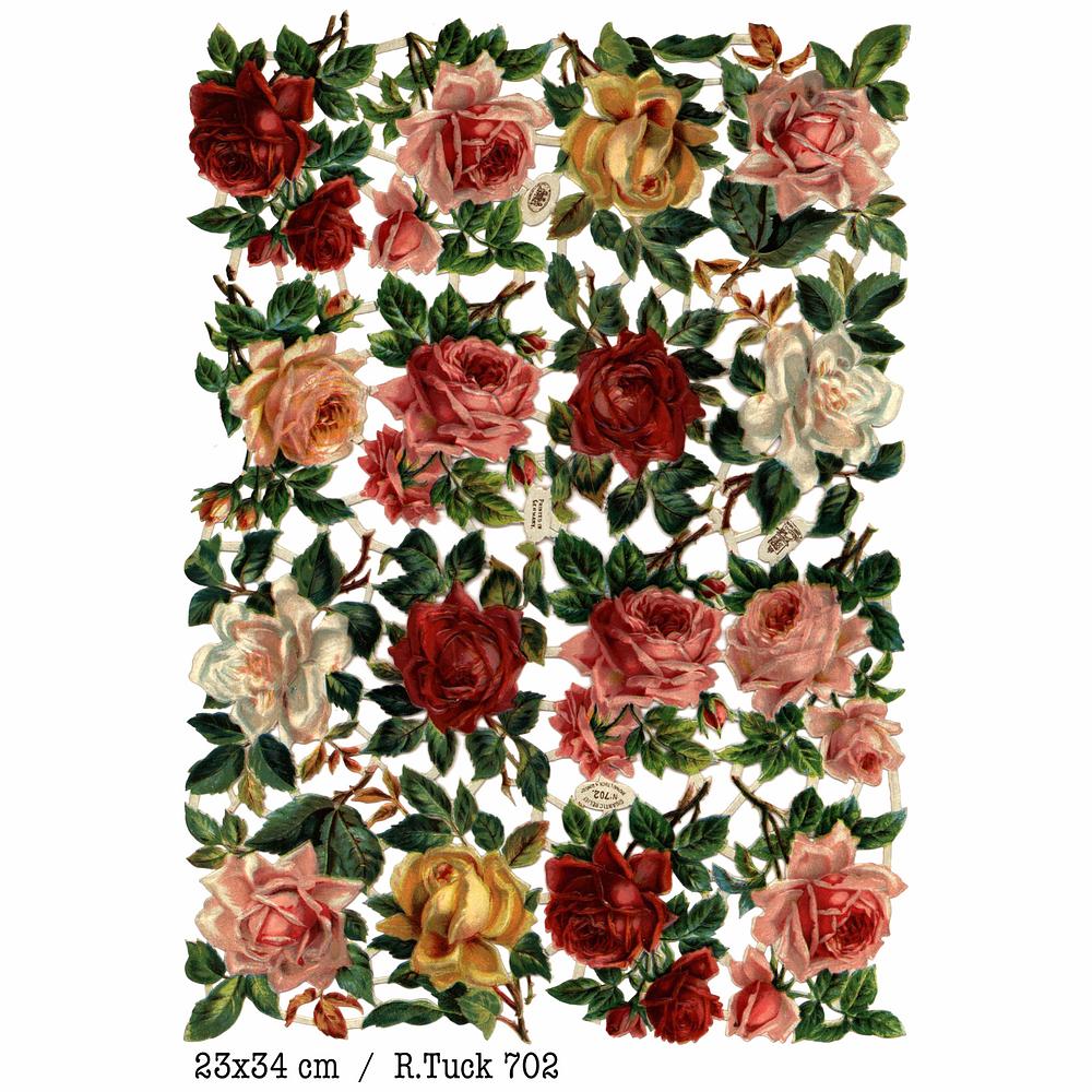R.Tuck 702 roses.jpg