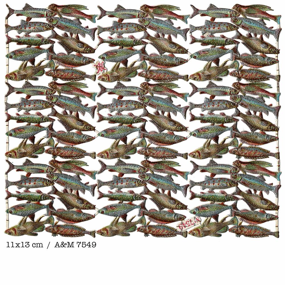 A&M 7549 fish.jpg