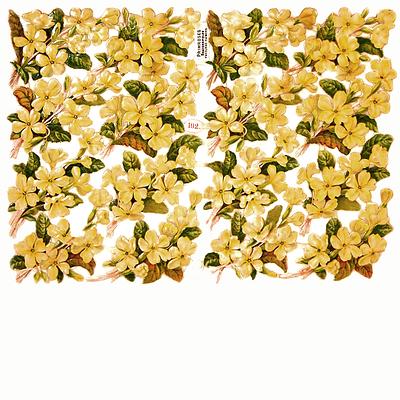 R.Tuck 192 primroses.jpg