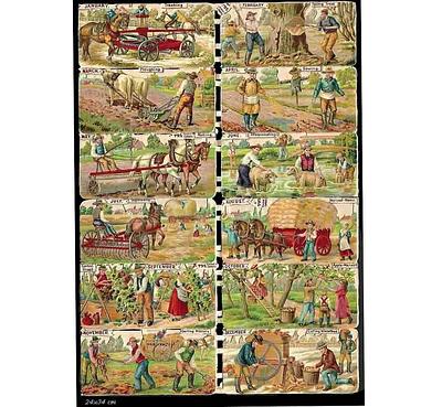 Birn Bros 795 rural 2.jpg