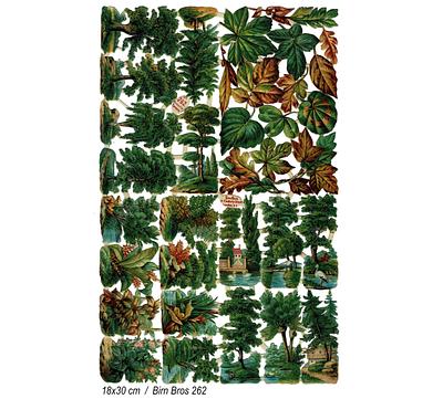 Birn Bros 262 nature 4.jpg