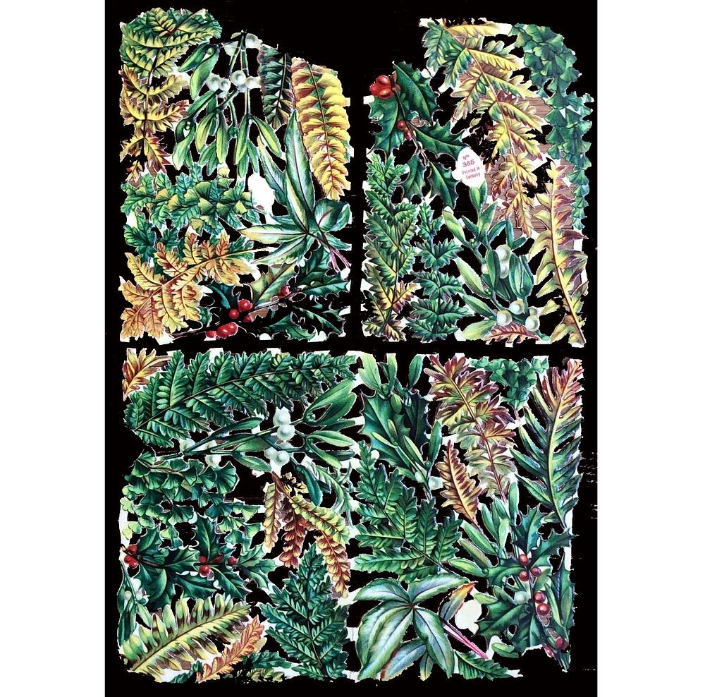 Birn Bros 355 leafs.jpg