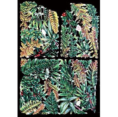 Birn Bros 355 leafs.jpg