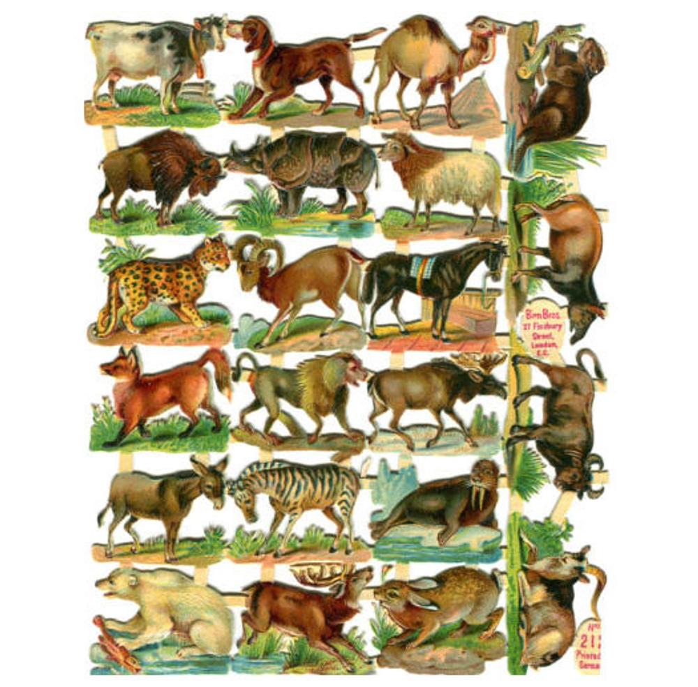 Birn Bros 212 a animals (1).jpg