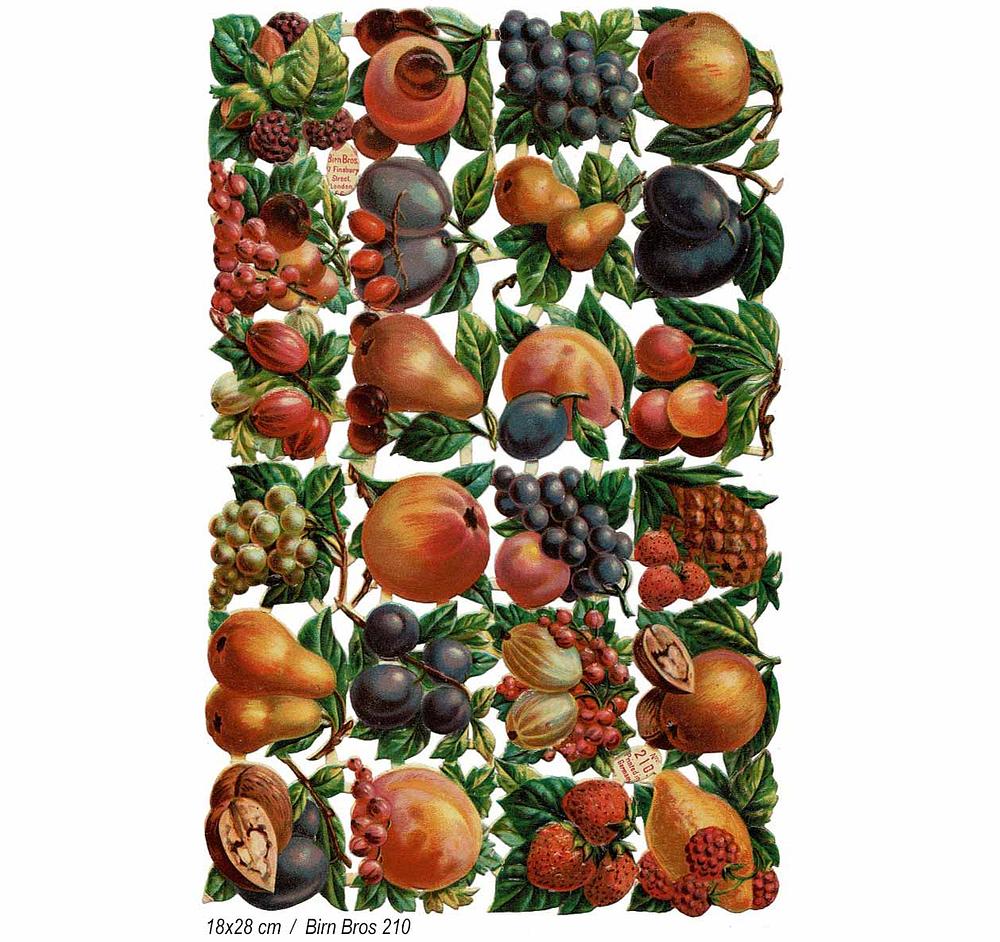 BB 210 fruits.jpg