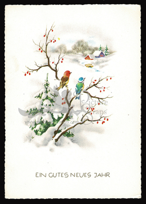 Postcard Haco 0376 b winter landscape birds.jpg