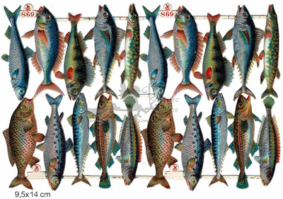 S&S 869 fish metallic color.jpg