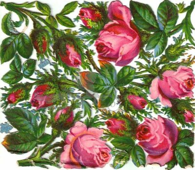 A.Radicke 5365 roses.jpg