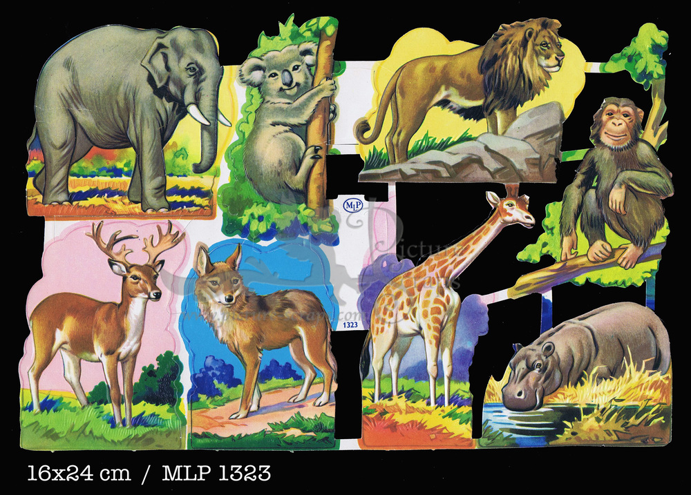 MLP 1323 animals.jpg