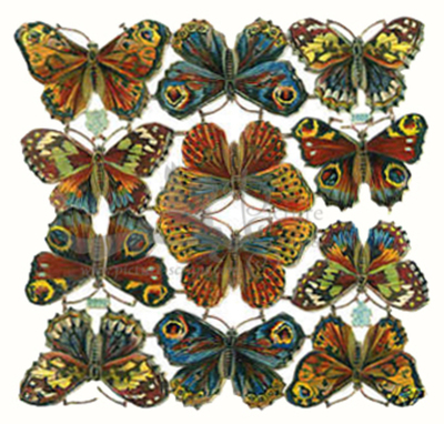 A.Radicke 5608 butterflies.jpg