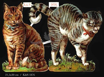 K&S 1876 cats.jpg