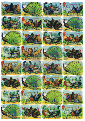 Printed in Germany 1236 farm animals square educational scraps.jpg