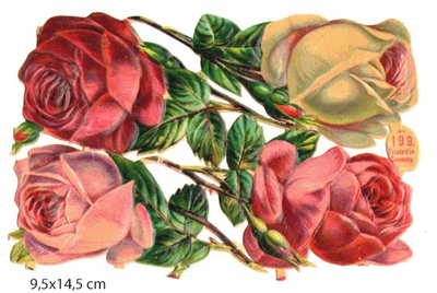Birn bros roses.jpg