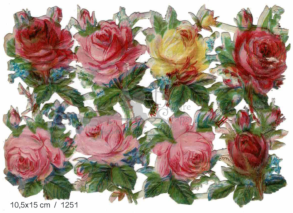1251 roses in red pink and yellow.jpg
