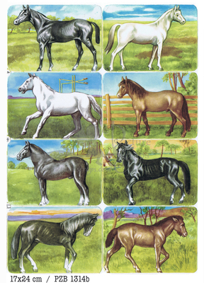 PZB 1314 b horses.jpg