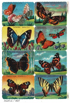 Printed in Germany 4827 b butterflies square educational scraps.jpg