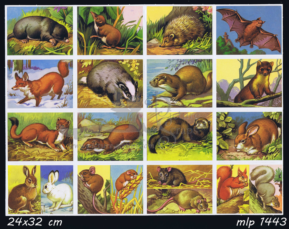 MLP 1443 fullsheet animals.jpg