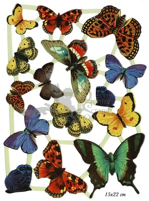 EMP Serie A 1 butterflies.jpg