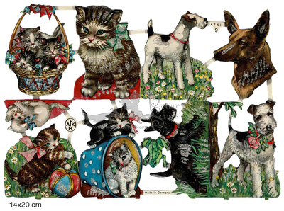 afkh 9 cats and dogs.jpg